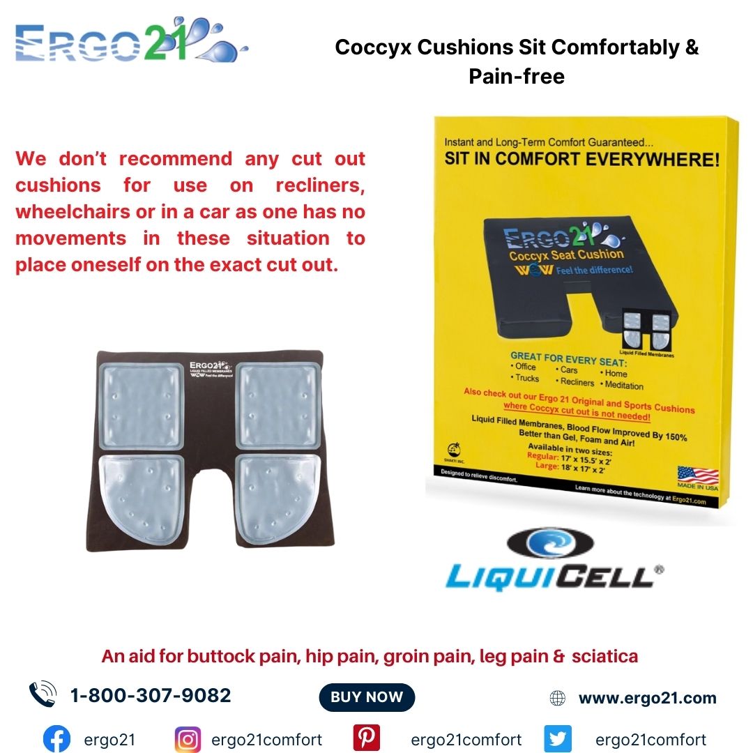 Ergo21 Original and Lumbar Cushion Bundle - Ergo21