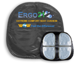 https://www.ergo21.com/wp-content/uploads/2015/03/pg-cushion-cushion.png