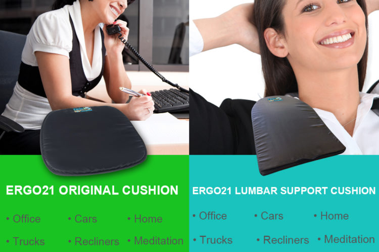 Lumbar Support Cushion - Home & Office