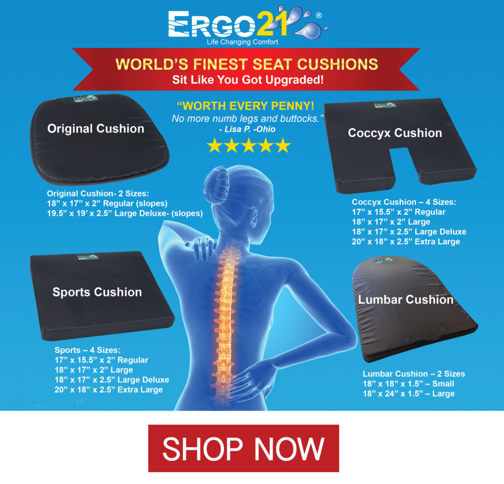  Ergo21 Travel Seat Cushion for Airplane, Car, Truck, Long  Flights & Drive, Must Have Travel Accessories for Long Trips
