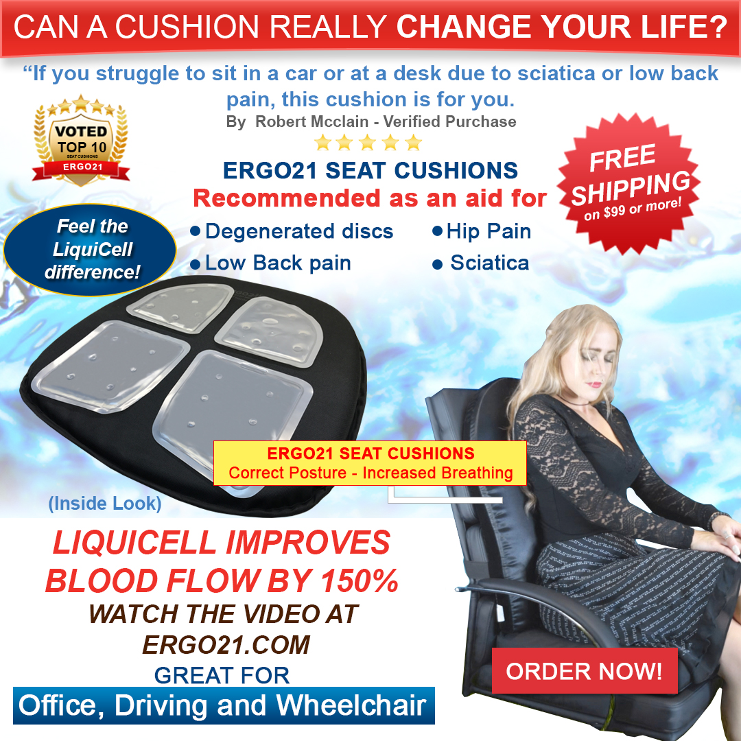 Lumbar Support Cushion for Office Chair - Suitable For Lower Back