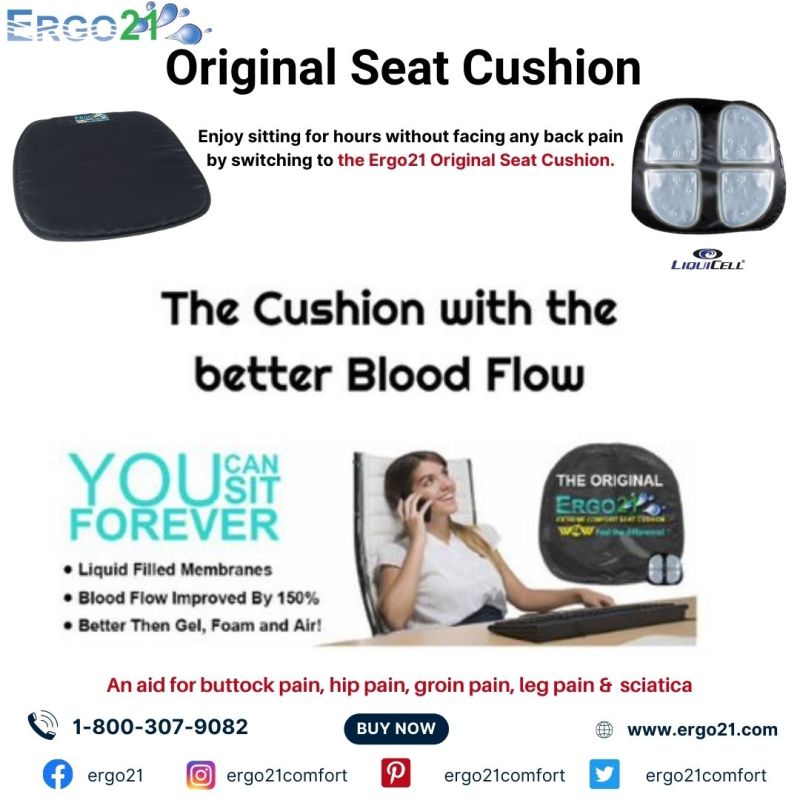 Lumbar Support Cushion for Office Chair - Suitable For Lower Back & Hip Pain  Ergo21 Featured Article