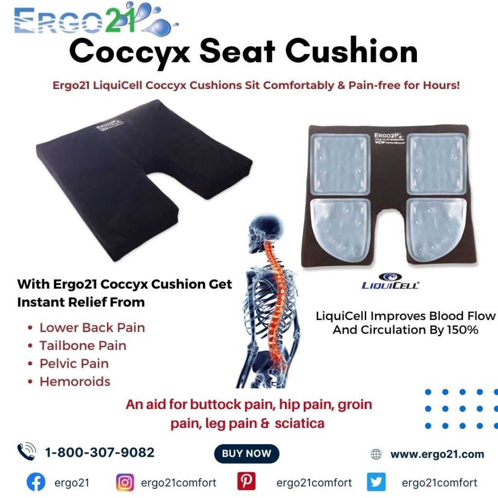 Coccyx seat cushions