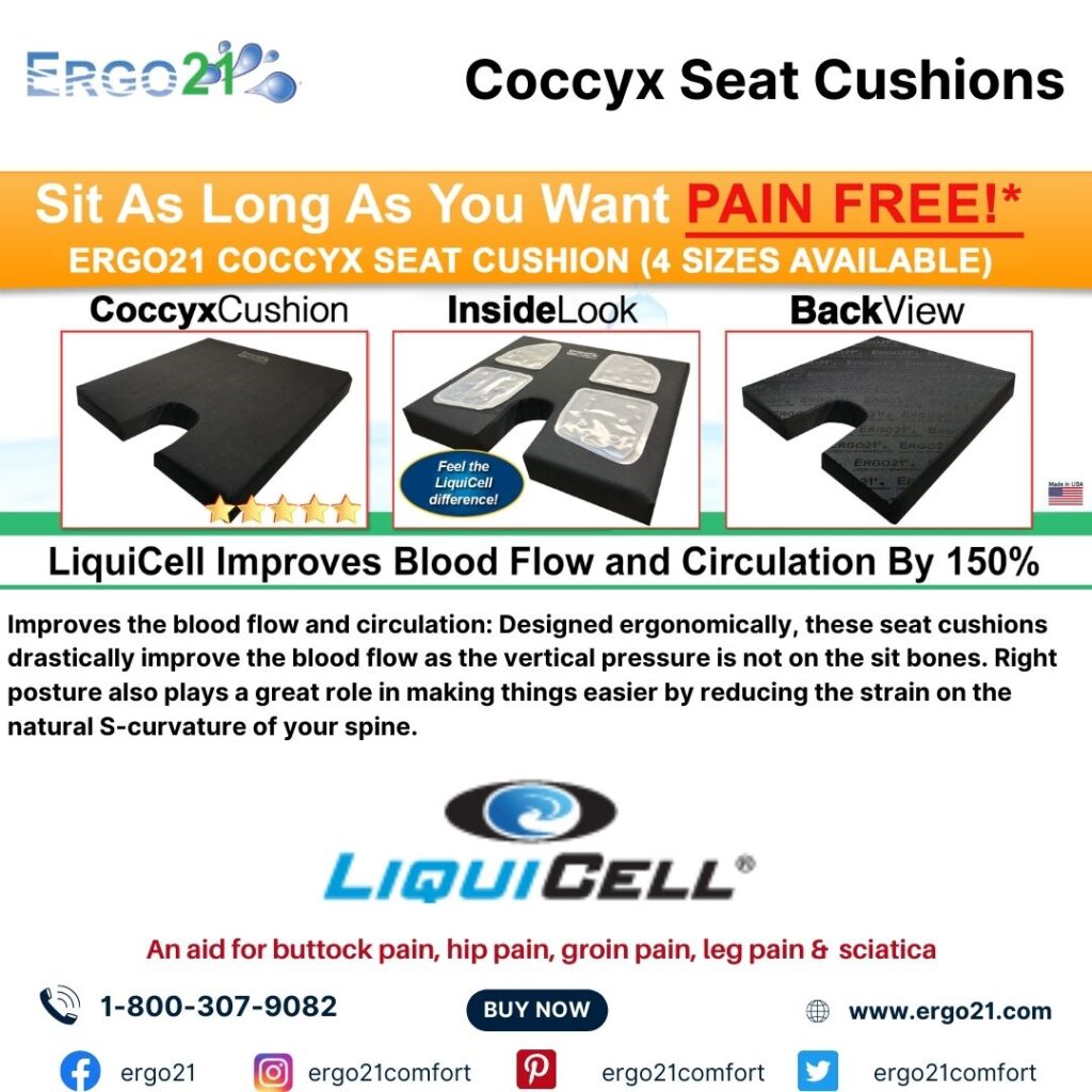 coccyx seat cushions