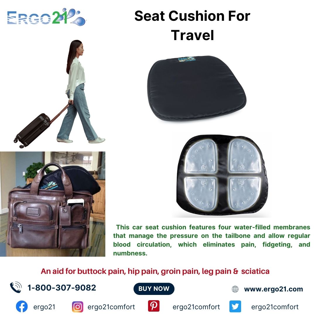Airplane Seat Cushion with Back