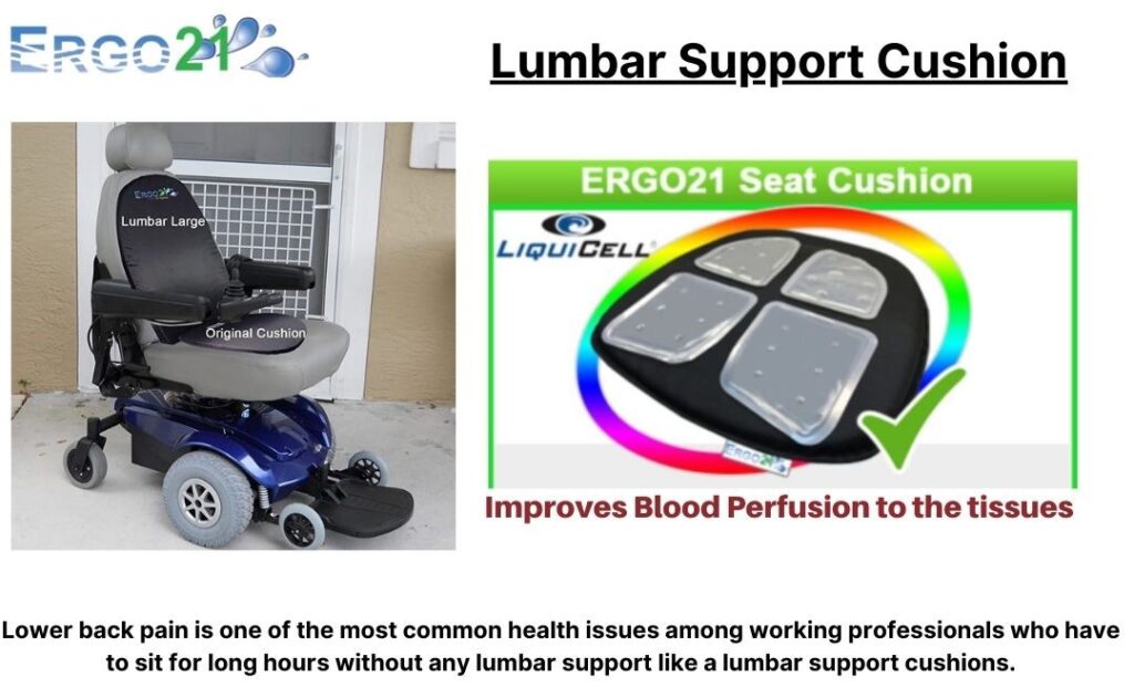 Ergo21 Original and Lumbar Cushion Bundle - Ergo21
