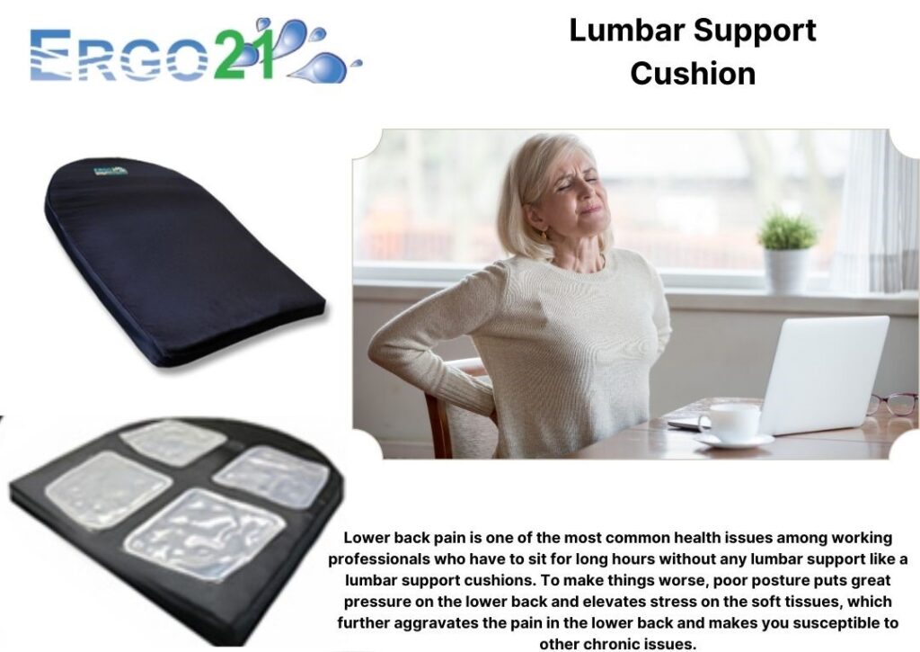 Best Lumbar Support Pillows for Back Pain in 2022 - Posturre