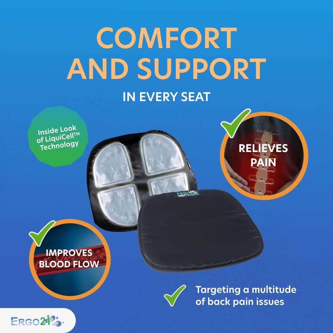 Travel Seat Cushion