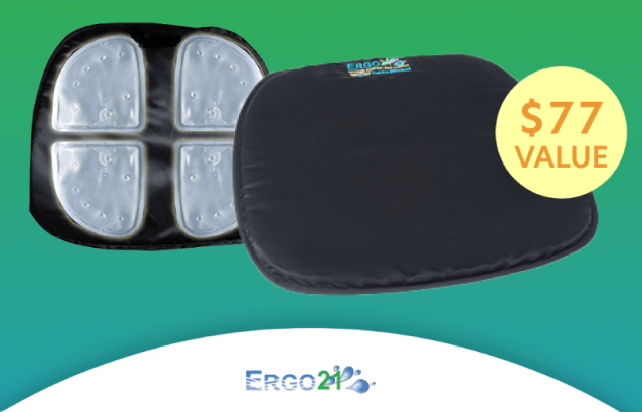 Order Ergo21 Original Cushion and Receive Travel Cushion for FREE!