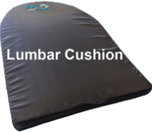 ERGO21 Lumbar Support Cushion