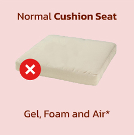 Normal Cushion Seat