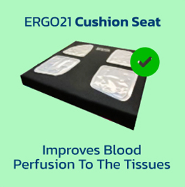 ERGO21 Cushion Seat