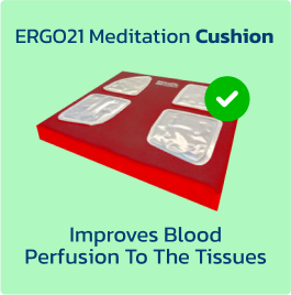 ERGO21 Meditation Cushion