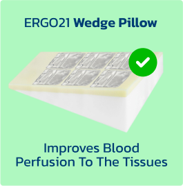 ERGO21 Wedge Pillow