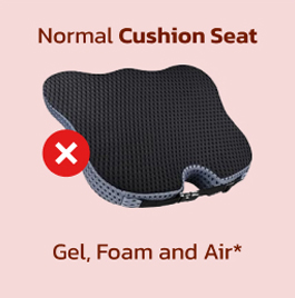 Normal Cushion Seat