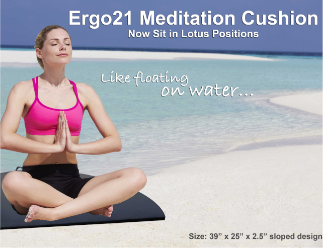 Ergo 21 Meditation Cushions 